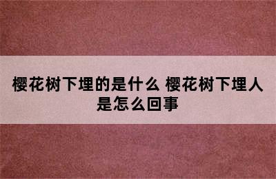 樱花树下埋的是什么 樱花树下埋人是怎么回事